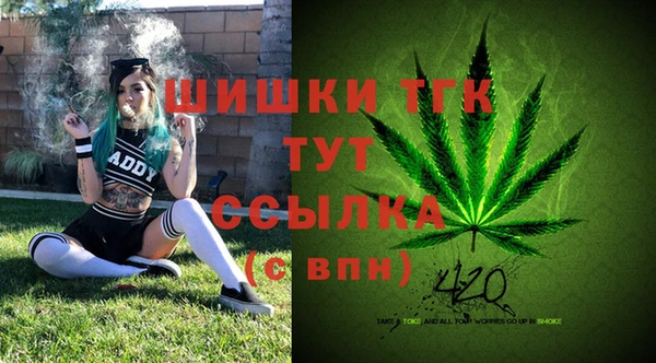 амф Арсеньев