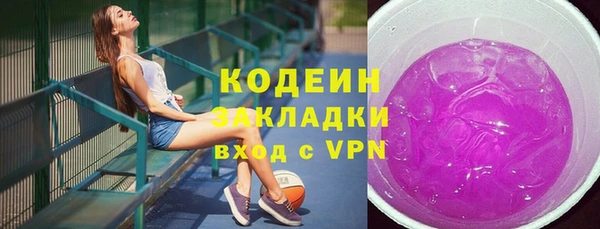 амф Арсеньев