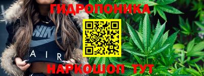 молекула духа Пенза