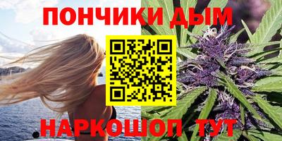 молекула духа Пенза