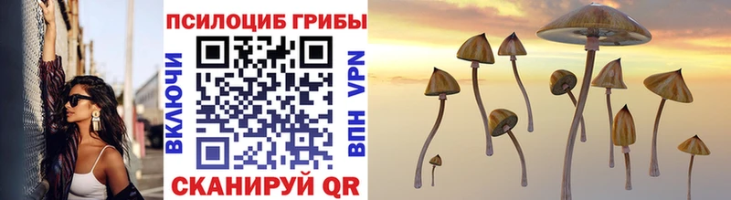 Псилоцибиновые грибы MAGIC MUSHROOMS  мега ТОР  Ступино  цены наркотик 