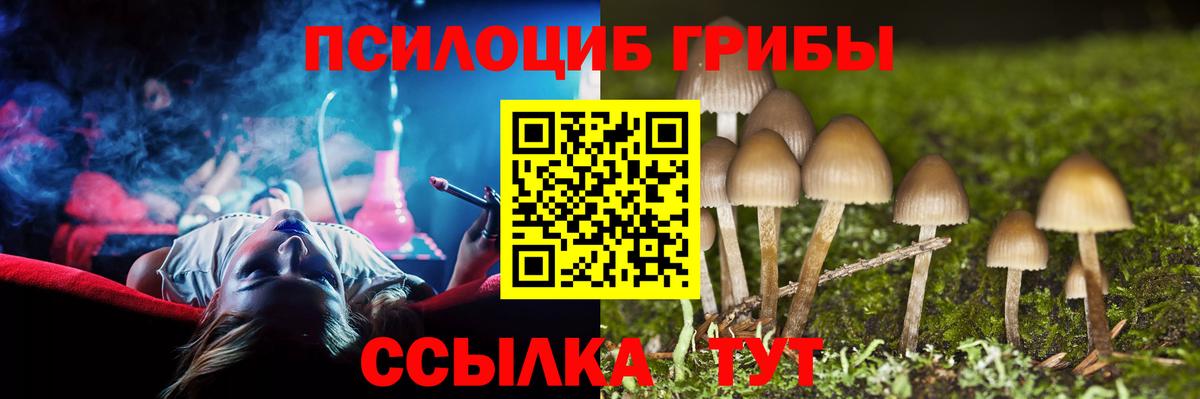 Галлюциногенные грибы прущие грибы  Вход с VPN  Ступино 
